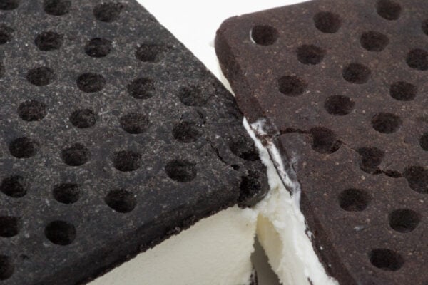 close-up image showing texture of FatBoy gluten-free ice cream sandwich