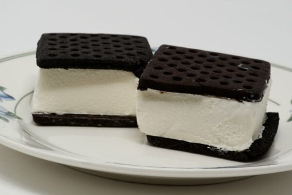 Two FatBoy gluten-free ice cream sandwiches