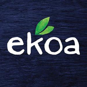 Ekoa fruit bars